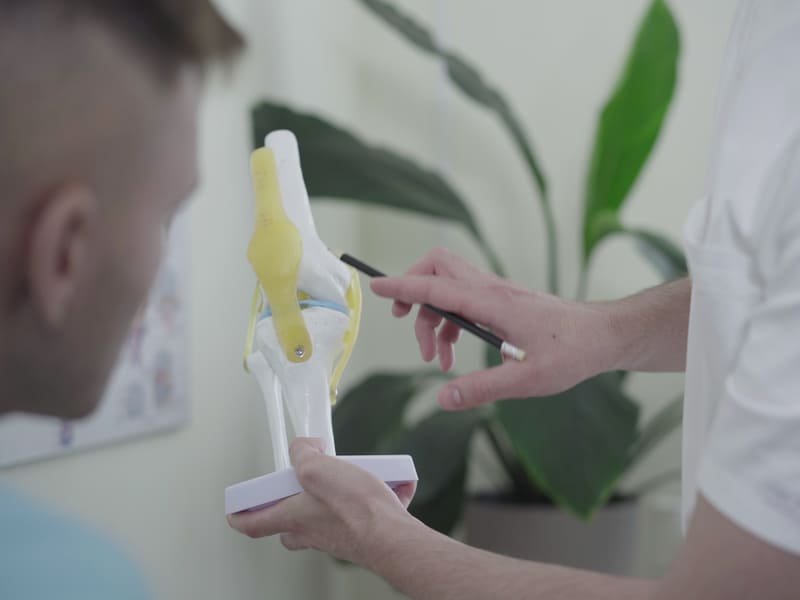 Kreuzbandriss Heilungsdauer