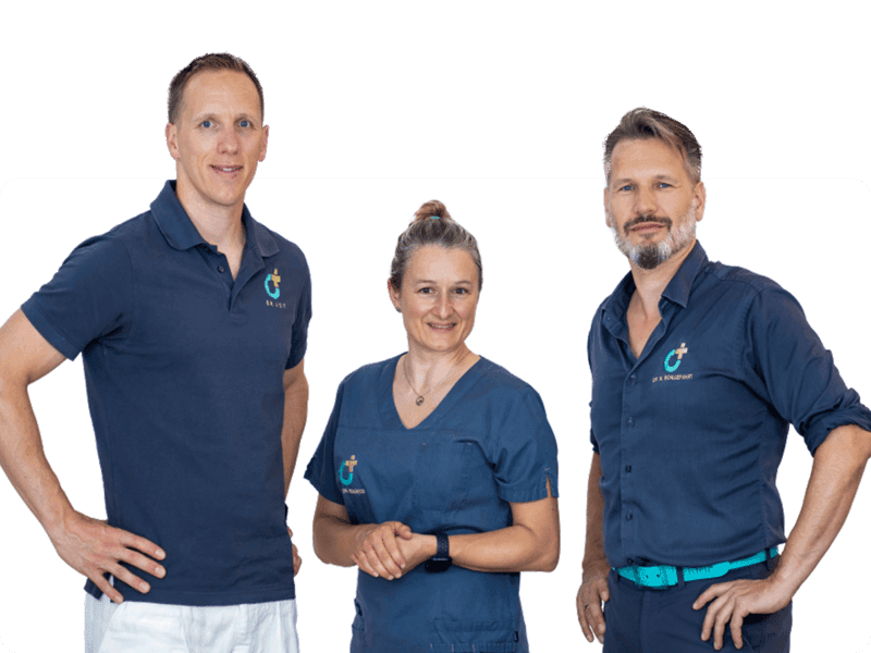 orthoplus franken team